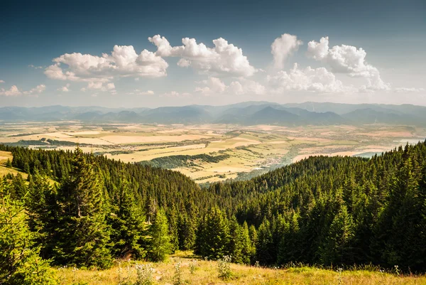 Paisaje — Foto de Stock