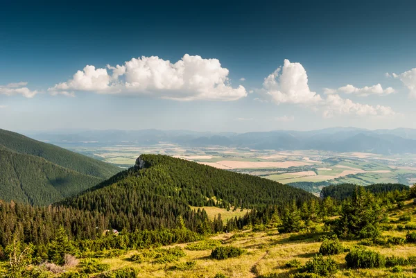 Paisaje — Foto de Stock