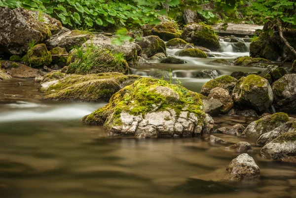 Creek, klippor och vegetation — Stockfoto