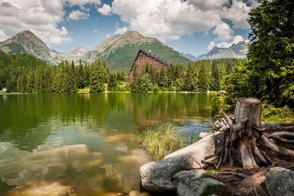 Stagno in montagna in estate — Foto Stock