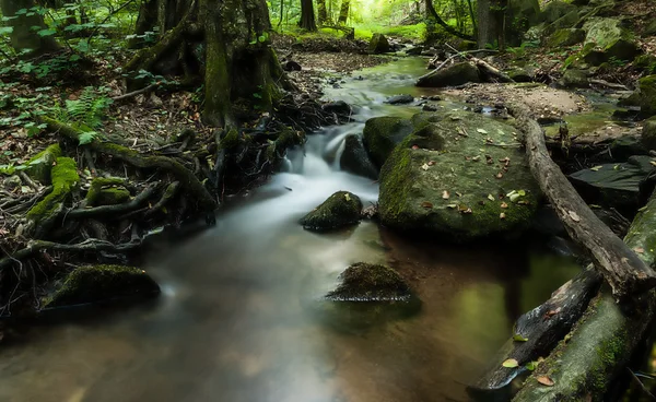 森林里的小溪 — 图库照片
