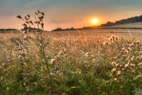 Atmosferic sunset over the field — Stock Photo, Image