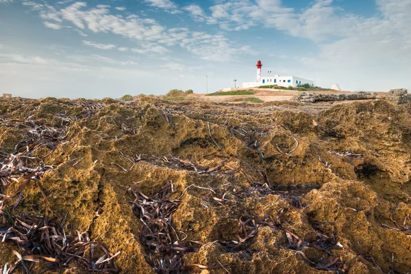 Faro en la roca —  Fotos de Stock