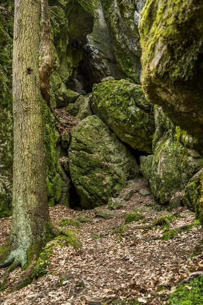 Czeski Dziedzictwa Narodowego rudice basenu — Zdjęcie stockowe