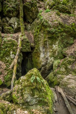 Çek Ulusal doğal miras rudice Havzası