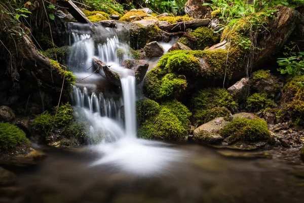 Små Vattenfall Skogen — Stockfoto