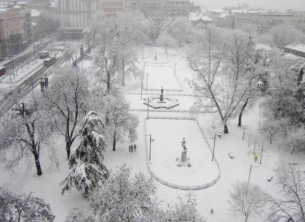 Winter Snow University Park Students Square Belgrade Serbia — 图库照片