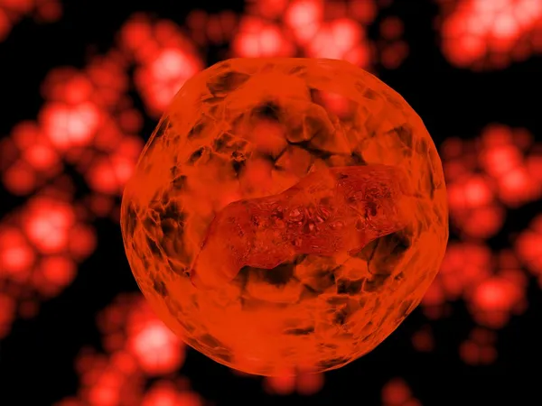 Menneskelig ægcelle - Stock-foto