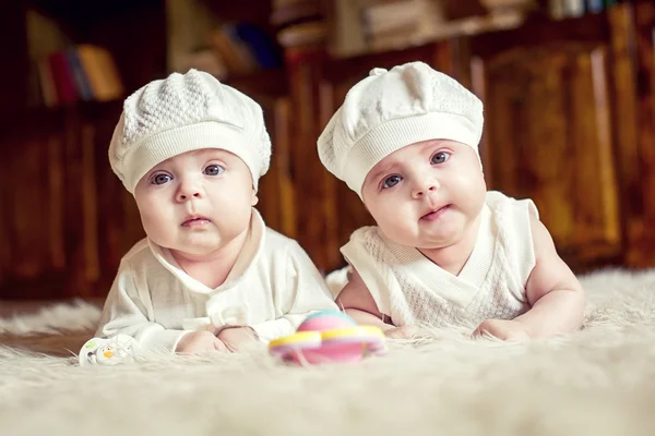 Twins — Stock Photo, Image