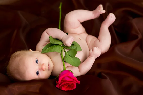 New born baby with rose — Stock Photo, Image