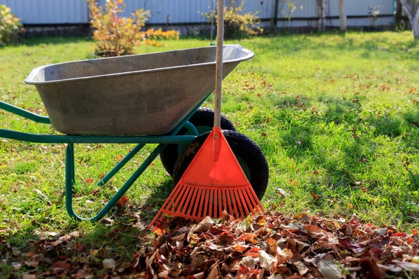 Skottkärra Och Kratta Nära Hög Med Torra Gula Fallna Blad — Stockfoto