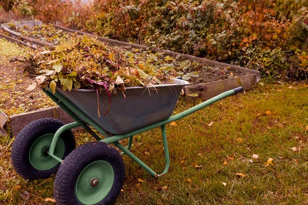 Carretilla Jardín Con Restos Vegetación Hojas Secas Jardín Concepto Compostaje —  Fotos de Stock