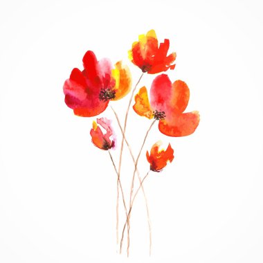 Kırmızı çiçek. Poppy. suluboya çiçek dekorasyon. çiçek buketi. doğum günü kartı.