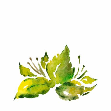 yeşil yaprakları. yaz çiçek şekil.