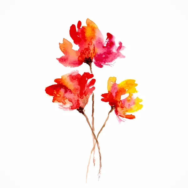 Rode bloem. Poppy. Aquarel florale decoratie. bloemen boeket. verjaardagskaart. — Stockfoto