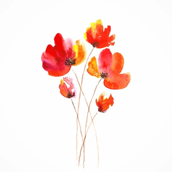 Kırmızı çiçek. Poppy. suluboya çiçek dekorasyon. çiçek buketi. doğum günü kartı.