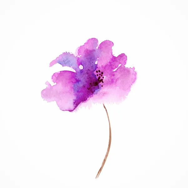 Lila bloem. Aquarel floral achtergrond. — Stockfoto