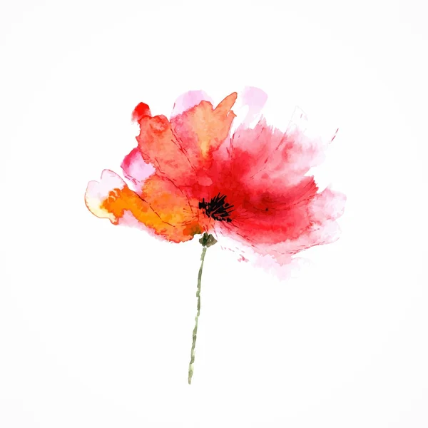 Red flower. Watercolor floral illustration. Poppy. — Stock Photo, Image