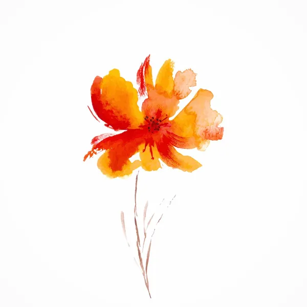 Orange flower. Watercolor floral illustration. Floral decorative element floral background — Stok fotoğraf