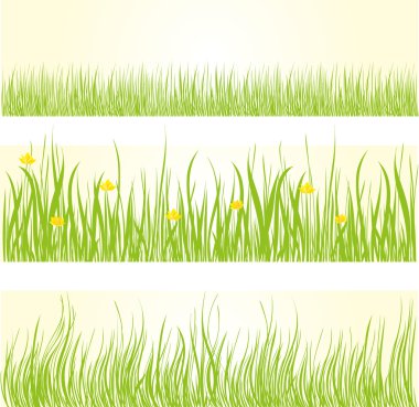 çim arka plan kümesi