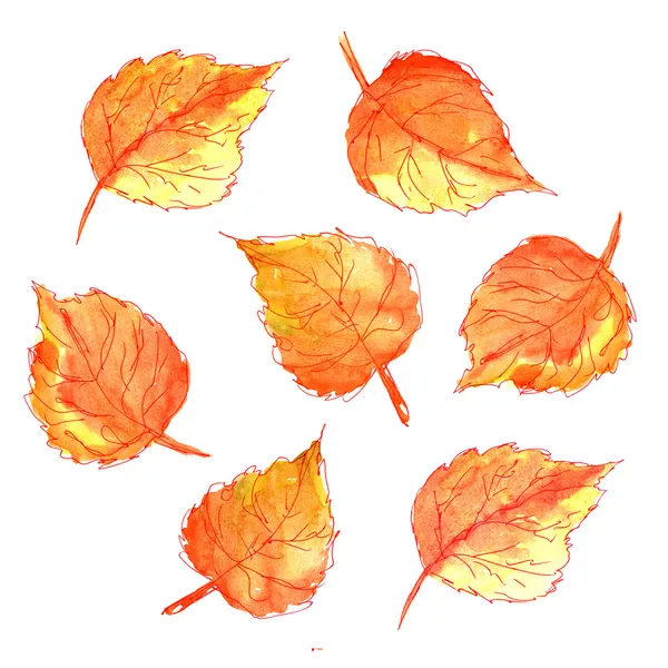 Autumn leaves — Stock Photo, Image