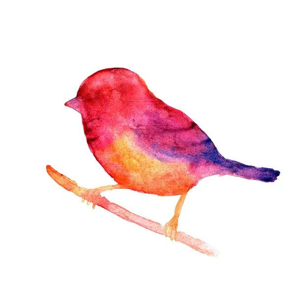 Akvarell fågel — Stockfoto