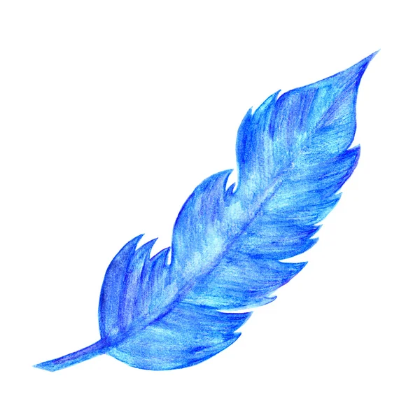 Blue feather — Stock Photo, Image