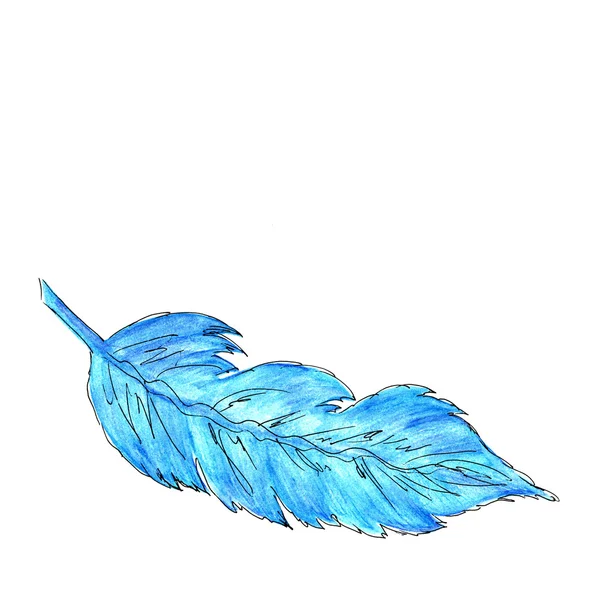 蓝色羽毛 — 图库照片