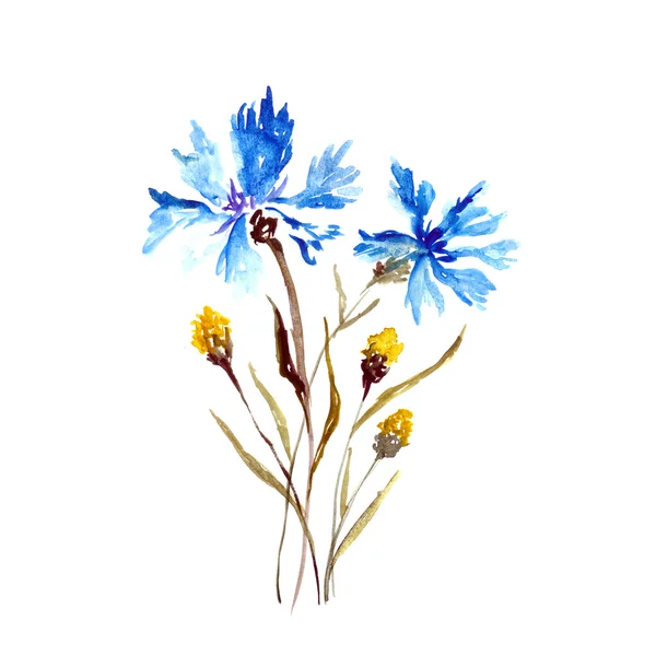 Watercolor cornflowers — Stock Photo, Image