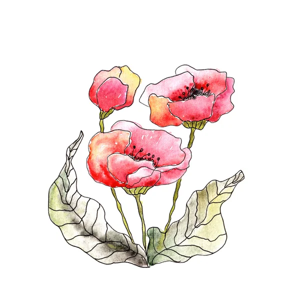 水彩画のケシの花 — ストック写真