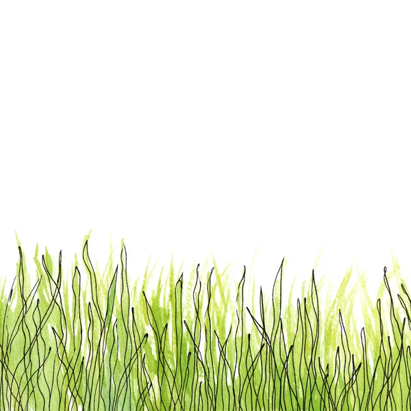 Akwarela trawa zielony — Zdjęcie stockowe