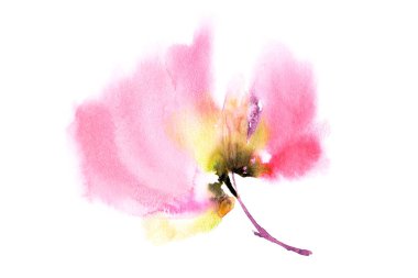 Pembe suluboya haşhaş. Tek çizim çiçeği. Tebrik kartı tasarımı için suluboya çiçek. Düğün davetiyesi çiçek dekoru. Doğum günü kartı tasarımı için soyut çiçek çizimi.