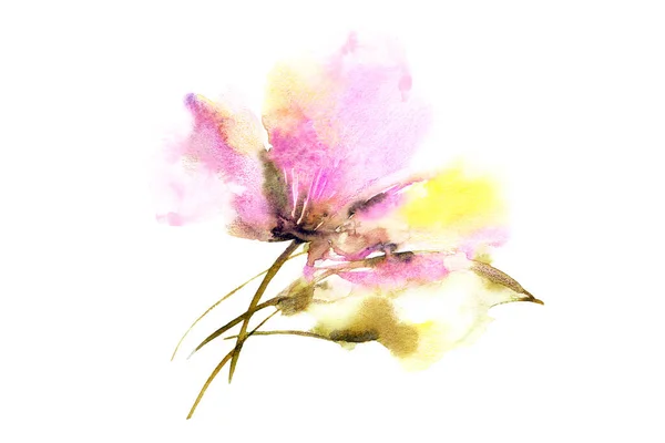 Fundo Floral Aquarela Colorido Flores Abstratas Para Projeto Cartão Aniversário — Fotografia de Stock