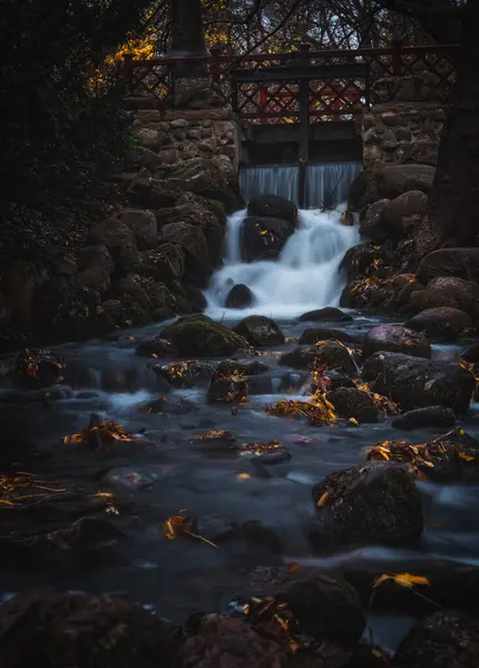 Polonya, Gdansk Oliwa Parkı 'nda şelale. Kasım 2021