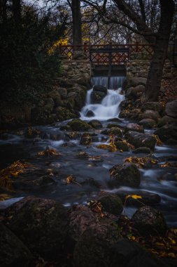 Polonya, Gdansk Oliwa Parkı 'nda şelale. Kasım 2021