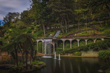 Portekiz 'deki Madeira adasındaki göleti çevreleyen egzotik bitki örtüsüyle Monte tropikal bahçesinin panoramik manzarası. Uzun pozlama fotoğrafı. Ekim 2021