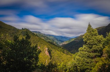 Laurel Ormanı 'nda 25 Fonte ile yürüyüş yapmak - Portekiz' in Madeira Adası 'ndaki ünlü 25 Fountains' e giden yol. Ekim 2021. Uzun pozlama resmi.