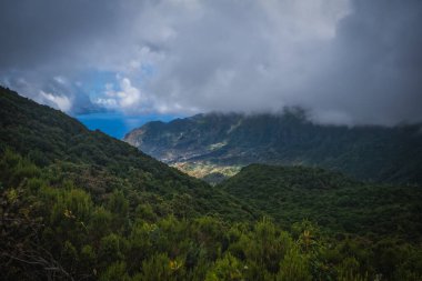Laurel Ormanı 'nda 25 Fonte ile yürüyüş yapmak - Portekiz' in Madeira Adası 'ndaki ünlü 25 Fountains' e giden yol. Ekim 2021.