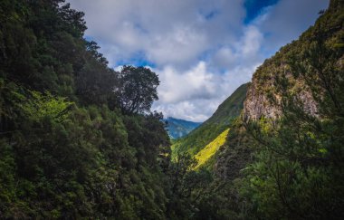 Laurel Ormanı 'nda 25 Fonte ile yürüyüş yapmak - Portekiz' in Madeira Adası 'ndaki ünlü 25 Fountains' e giden yol. Ekim 2021.