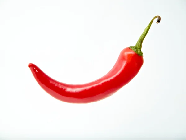Red hot chili pepper isolated on a white background — Stock Photo, Image