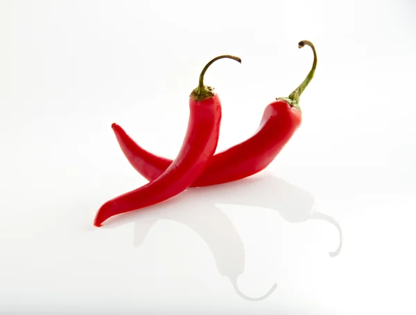 Two red chili peppers isolated on the white — Stock Photo, Image