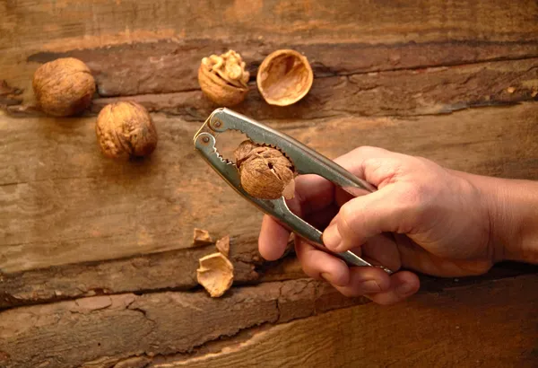 Man cracking walnut with metal nutcracker in hand on wooden bac — Stock Photo, Image