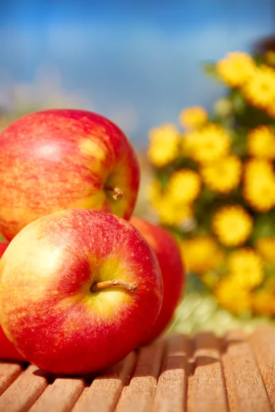 Frische Äpfel auf einem Tisch im Garten — Stockfoto