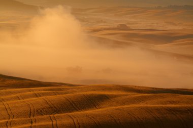 kırsal, Toskana, İtalya