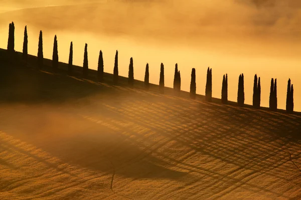 Campo, Toscana, Italia —  Fotos de Stock