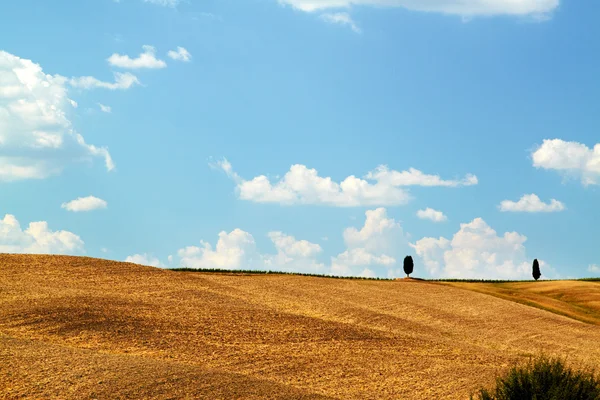 Campo arato, sfondo — Stockfoto