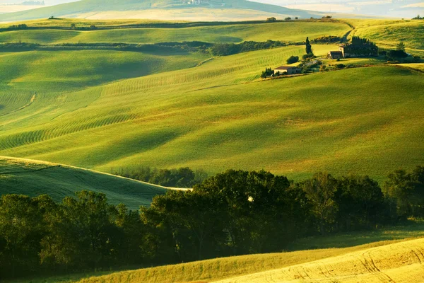 Campagna, Toscana, Italia — Foto Stock