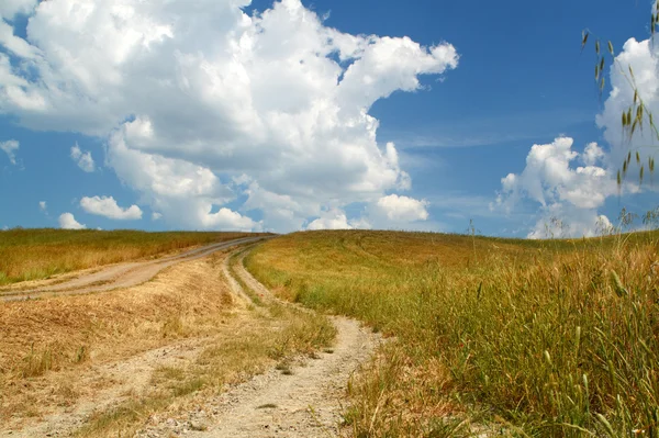 Landskap, gyllene fält och road, bakgrund — Stockfoto