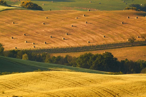 Countrysid, Toskánsko, Itálie — Stock fotografie