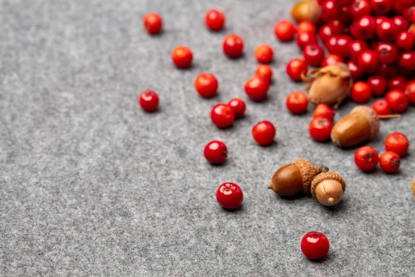 Serbal rojo y nueces sobre fondo gris de otoño —  Fotos de Stock